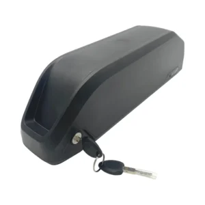 Akumulator litowo-jonowy 48 V - 17,5 Ah/840 Wh EZEGO E Bike zamienny do modeli Ezego Commute EX