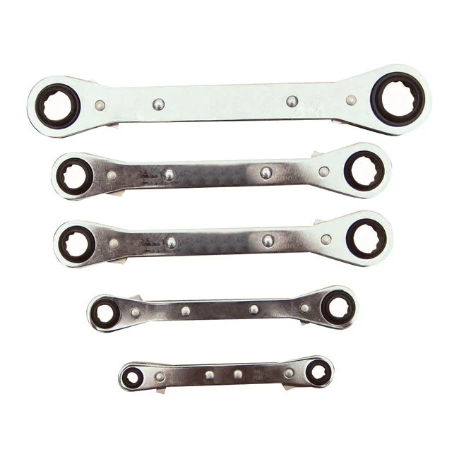 Lang Tools Zestaw kluczy płasko-oczkowych z zatrzaskiem w rozmiarach metrycznych