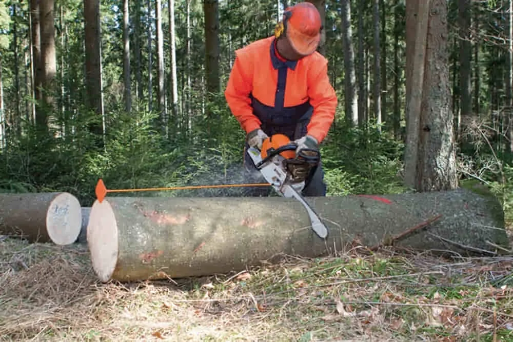 NESTLE listwa tnąca KOLIBRI długość 330 mm ( 4000815597 )