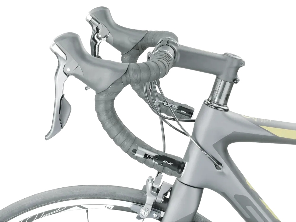 Topaak ninja c smagliacatena c