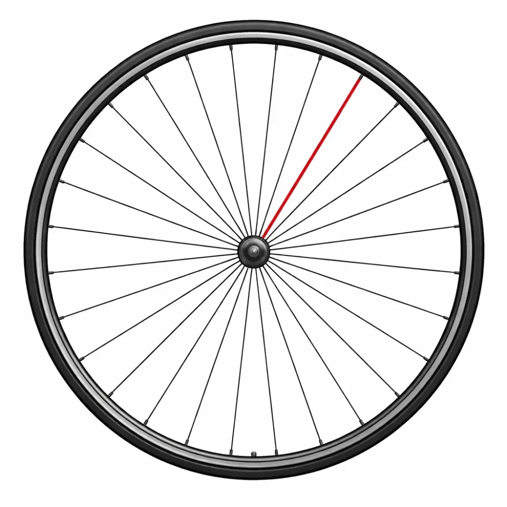 Szprycha CAMPAGNOLO + nypel SHAMAL ULTRA DISC prawy tył (x1)