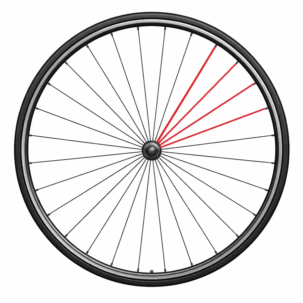 Zestaw 4 lewych tylnych szprych CAMPAGNOLO ZONDA
