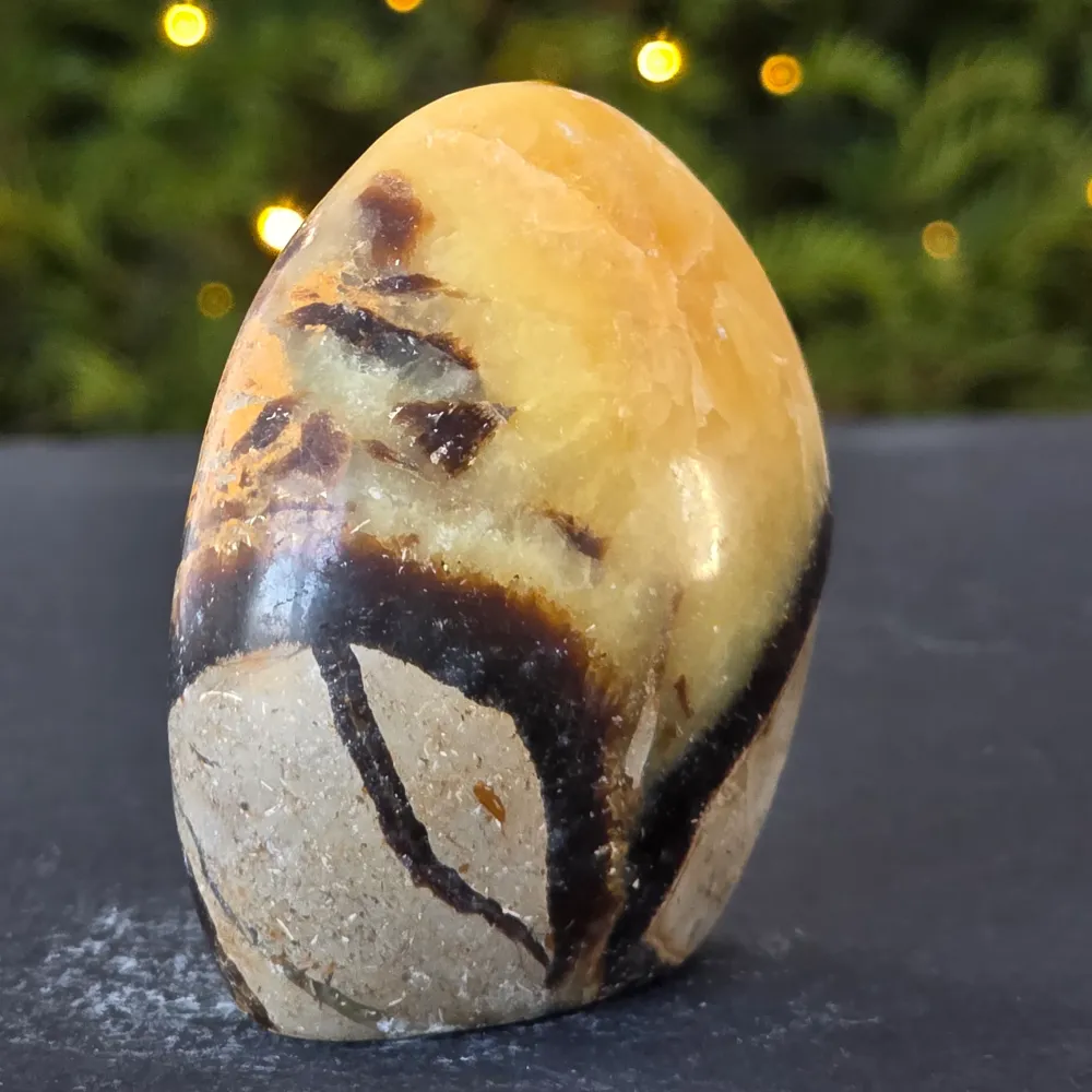 Struktura swobodna Septaria mini | Model 2