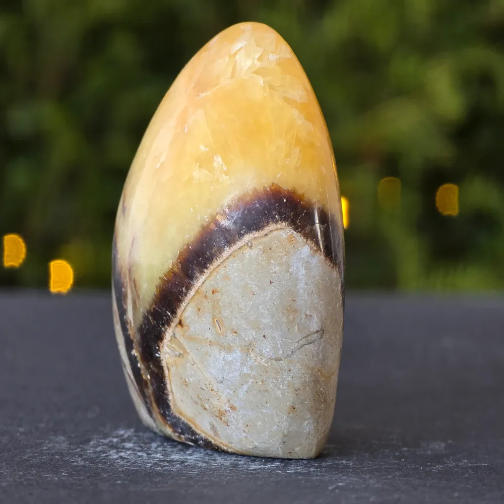 Struktura swobodna Septaria mini | Model 2