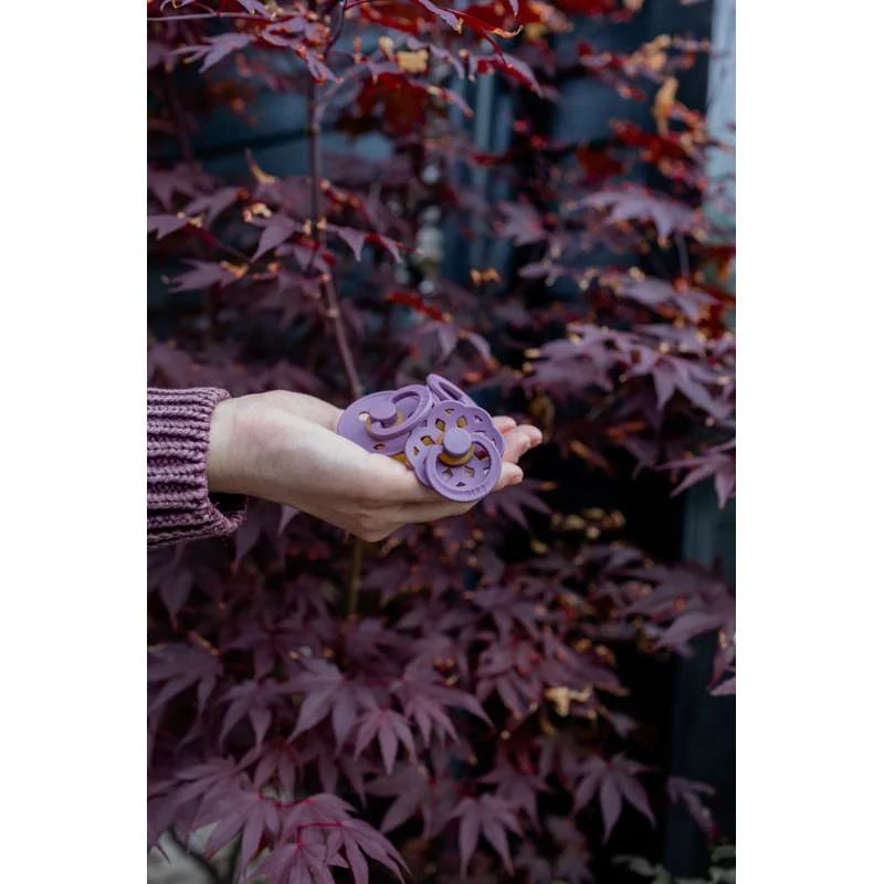Smoczek Bibs Okrągły Colour - Sampak - 5 szt. - roz. 2 - Mauve