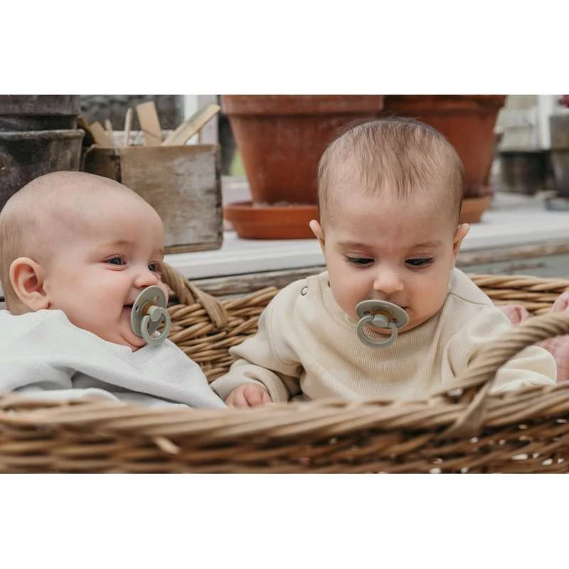 Smoczek Bibs Okrągły Colour - Sampak - 5 szt. - roz. 2 - Miękki mech